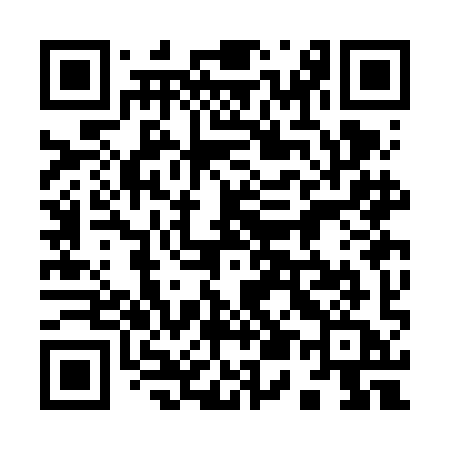 QR code for 953FIA