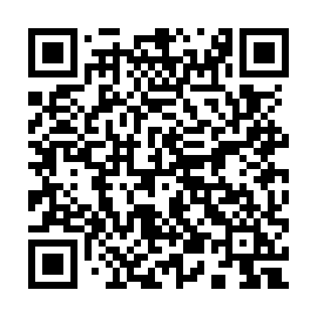 QR code for 953OXI