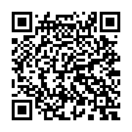 QR code for 953PTM
