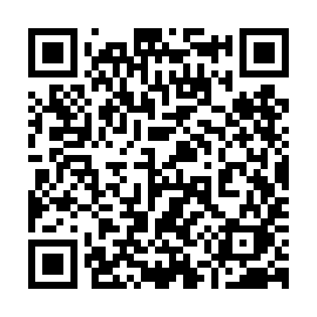 QR code for 953TIK