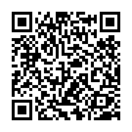 QR code for 954TOY