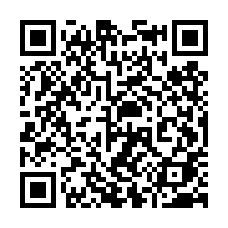 QR code for 955DPI