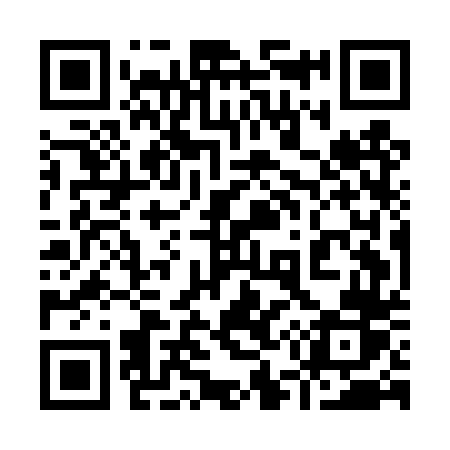QR code for 955DTR