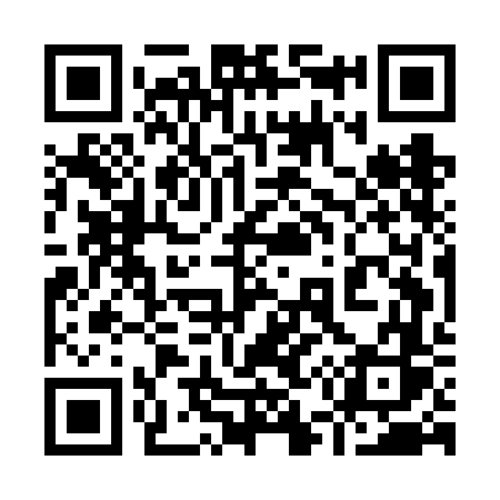 QR code for 955FFS