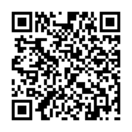 QR code for 955ICA
