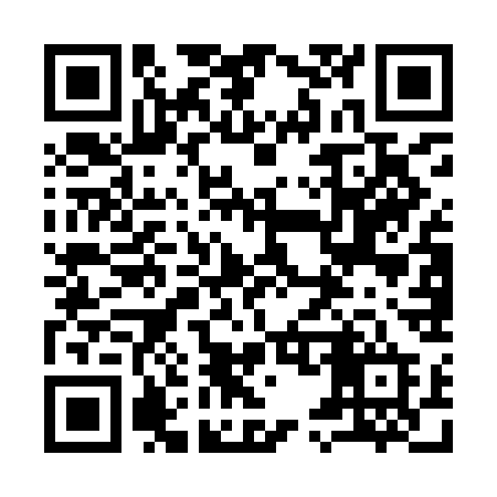 QR code for 955ICD