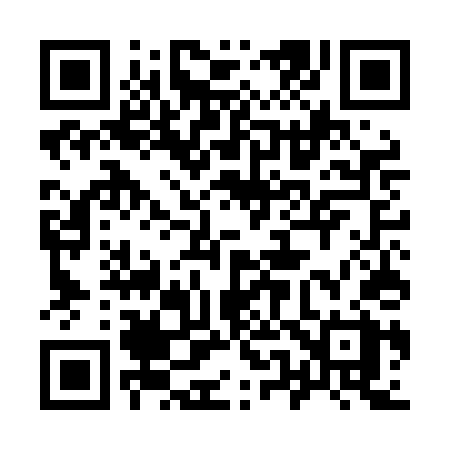 QR code for 955LDX