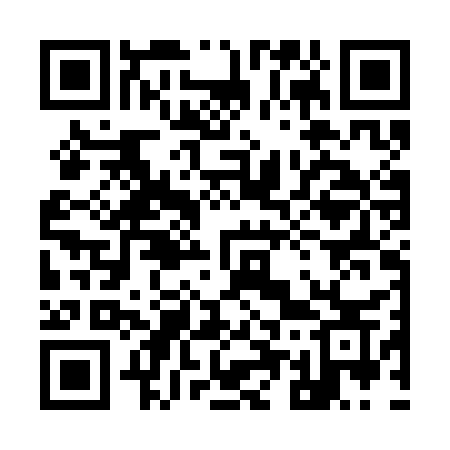 QR code for 956CCS