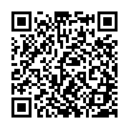 QR code for 956MLI