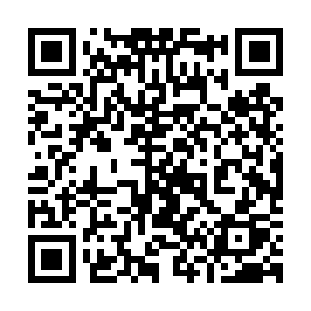 QR code for 960DSP