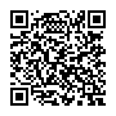 QR code for 960LEI
