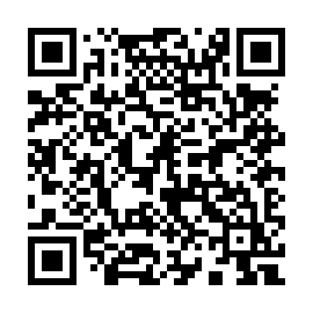 QR code for 960LYZ