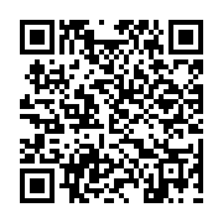 QR code for 960NES