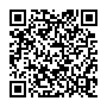 QR code for 963SWF