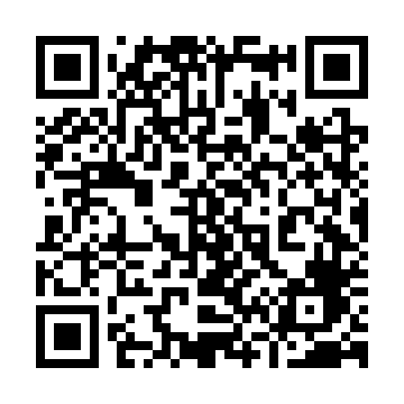 QR code for 966CTF