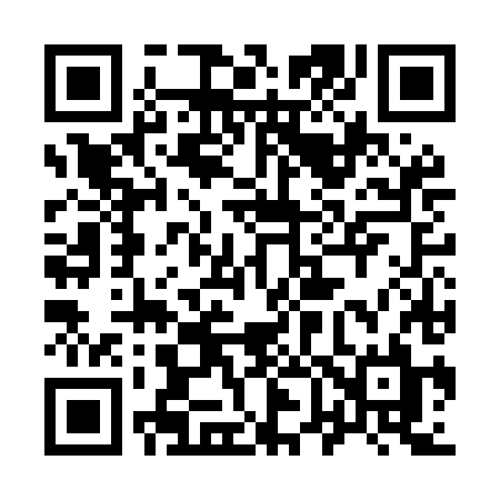 QR code for 966MHL