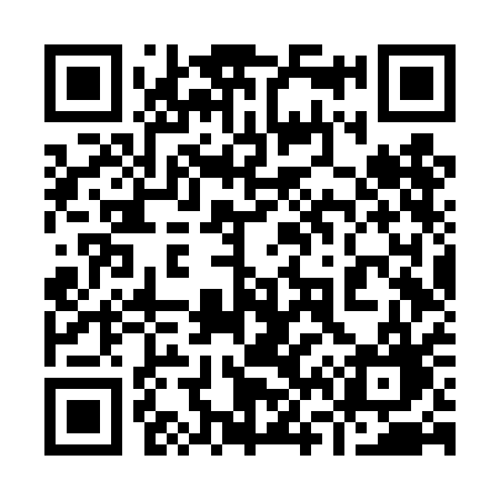 QR code for 966TAG