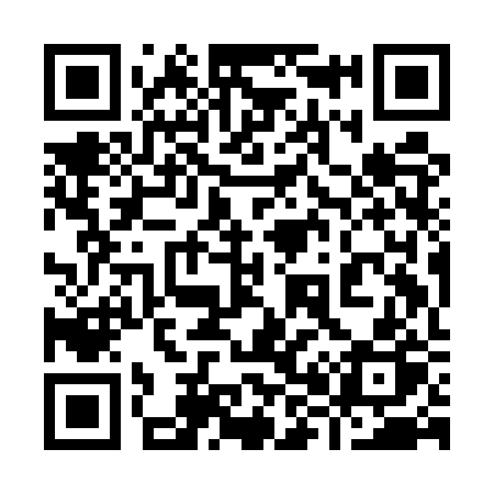 QR code for 989ERP