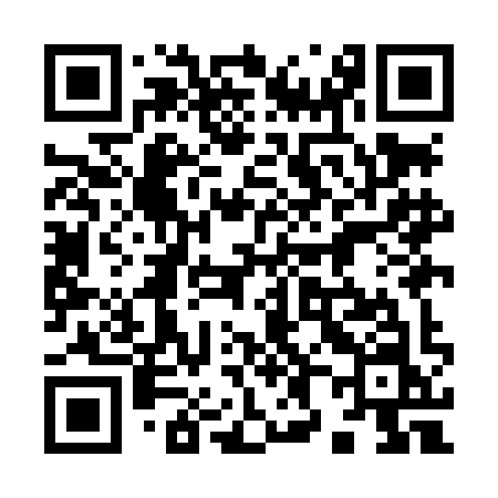 QR code for 989LIN