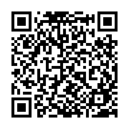 QR code for 991CID