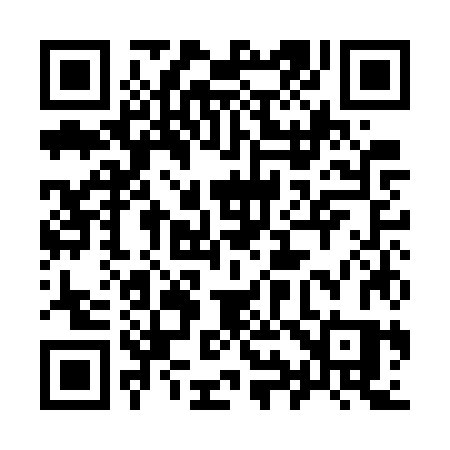 QR code for 991GZS