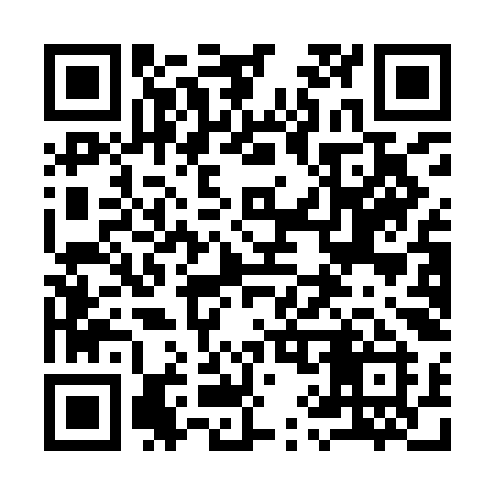 QR code for 991IKI