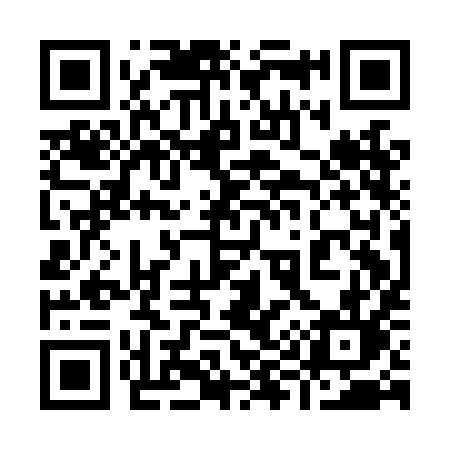 QR code for 991LIL