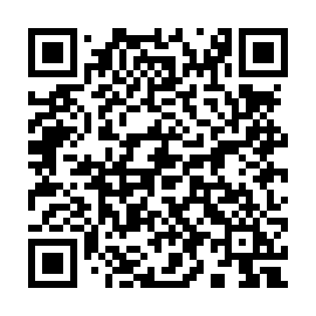 QR code for 991LZI