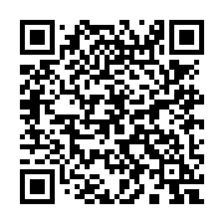QR code for 991NII