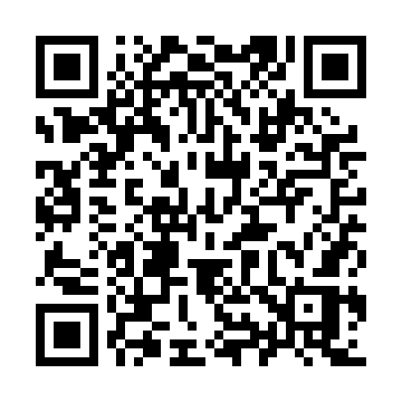 QR code for 991PGR
