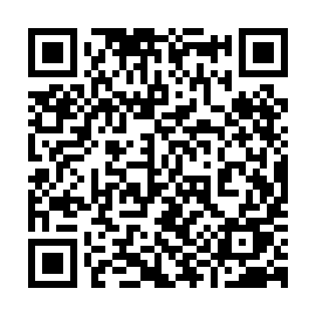 QR code for 991PIU