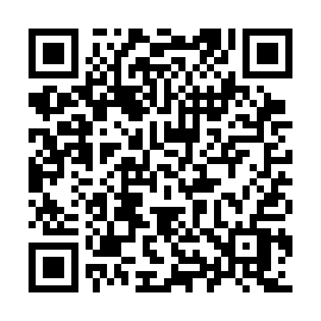QR code for 991SAV