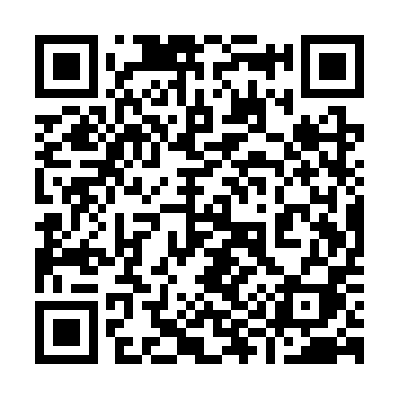 QR code for 991SPI