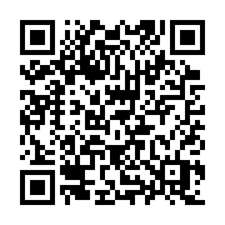 QR code for 991SPT