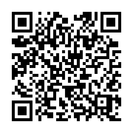 QR code for 991SUP