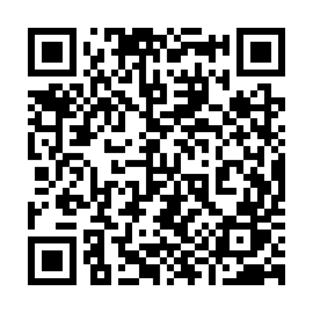 QR code for 991SUR