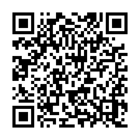 QR code for 991TIZ