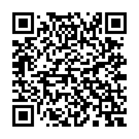 QR code for 991TMM