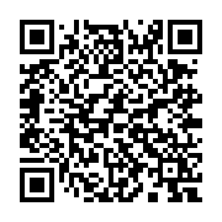 QR code for 991TNY