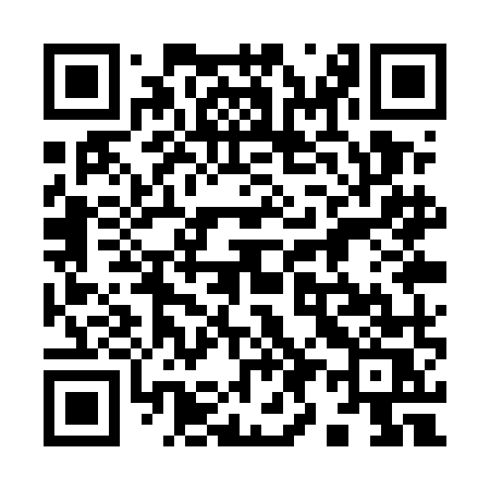 QR code for 991UMS