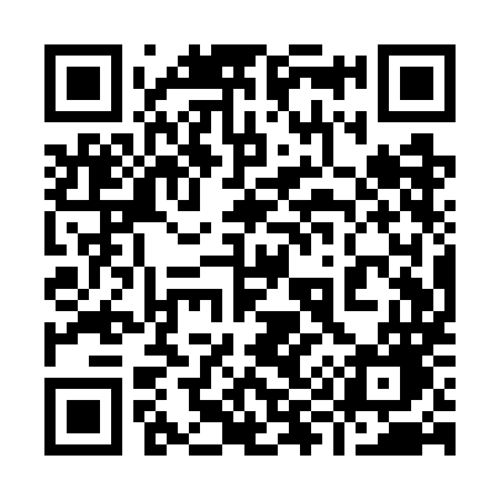 QR code for 991WMG