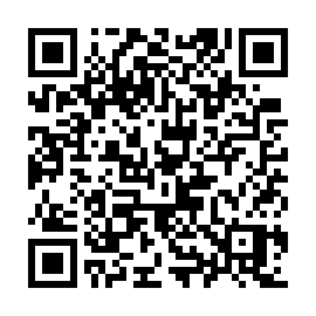 QR code for 991WSP