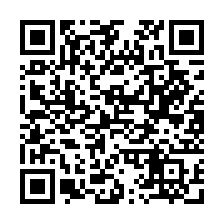 QR code for 993DBS