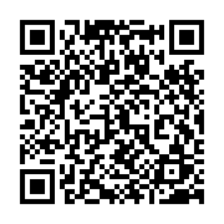 QR code for 993LCR