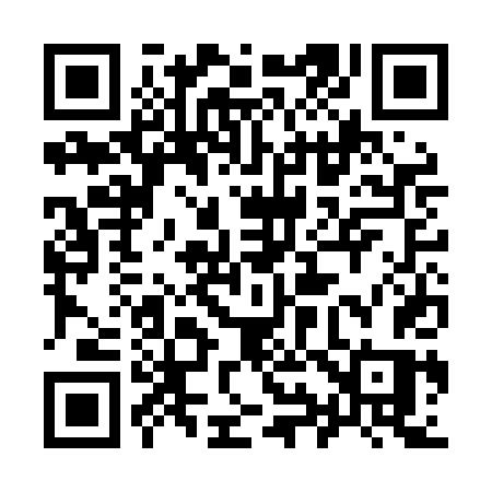 QR code for 993LDS