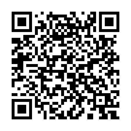 QR code for 993MSR