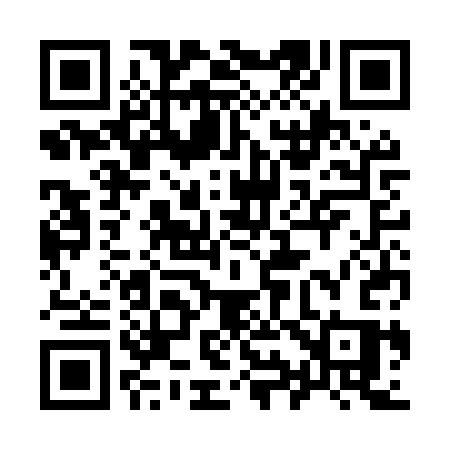 QR code for 993MSS