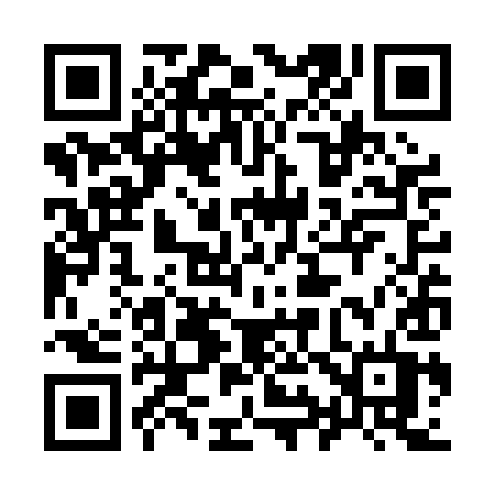 QR code for 993PIT