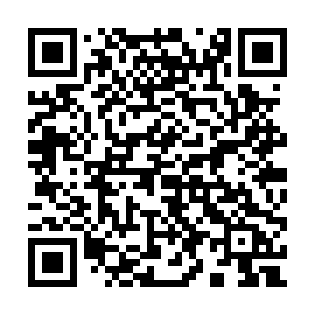 QR code for 993PPC