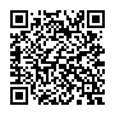 QR code for 993VEZ